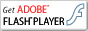 Adobe Flash Player�̃_�E�����[�h�͂����炩��