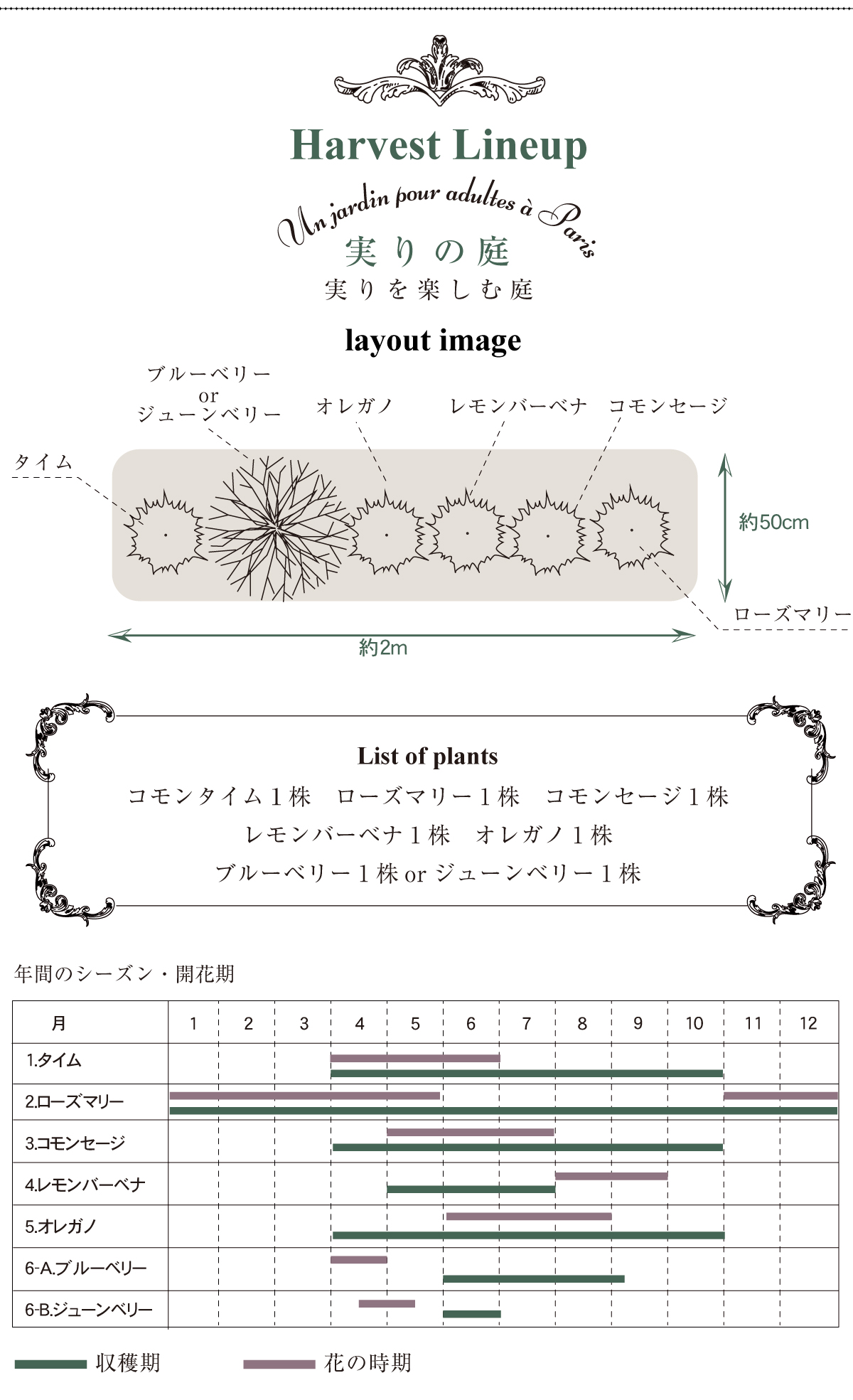 jardan Harvest レイアウトイメージ