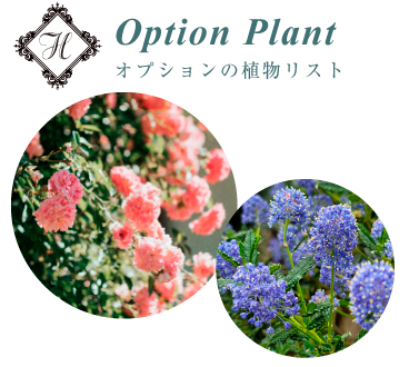 Jardin オプション植物メニューへ